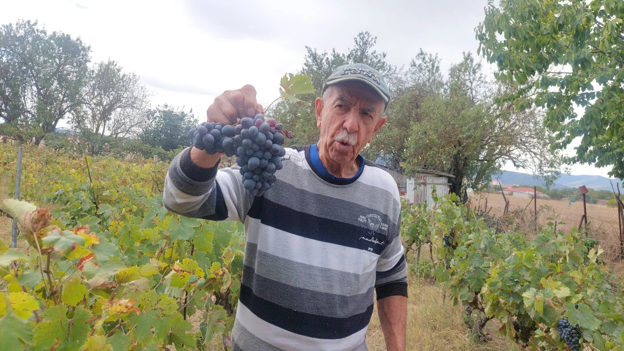 Παραδοσιακό πατητήρι σταφυλιών