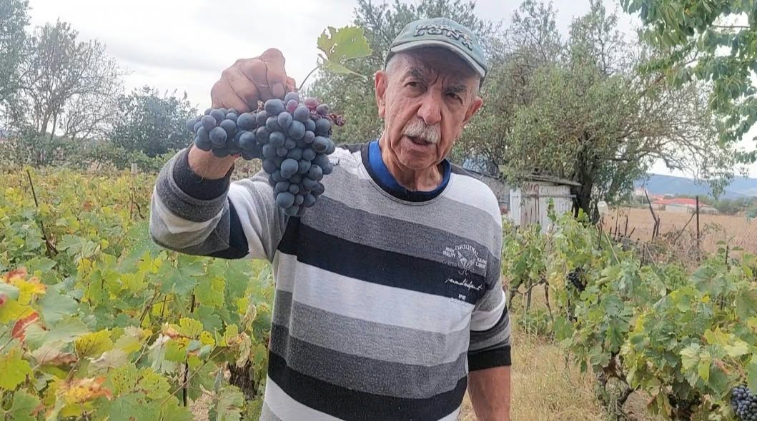 Διαδικασία παρασκευής κρασιού