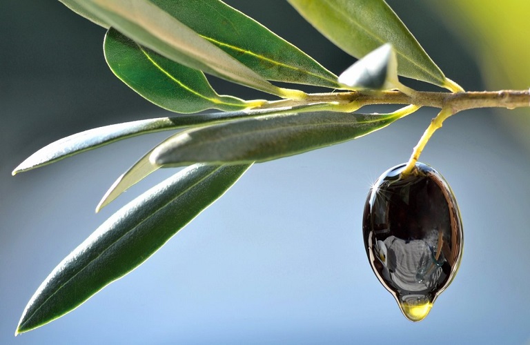 Τι εκτιμά η αγορά για την πώληση του ελαιόλαδου - Η αναμονή για την επόμενη σοδειά