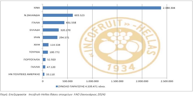 Ακτινίδιο: Στην κορυφή των εξαγωγών φρούτων το ελληνικό ακτινίδιο - Ο κίνδυνος των ατυποποίητων