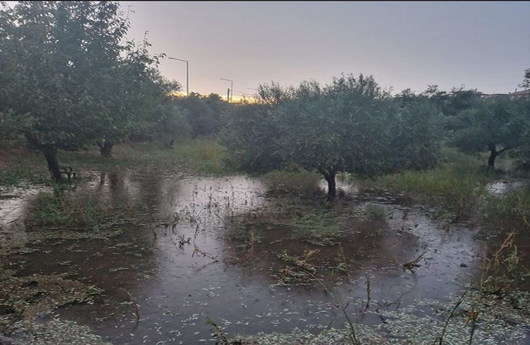 Το αποτύπωμα της κλιματικής αλλαγής στον πρωτογενή τομέα