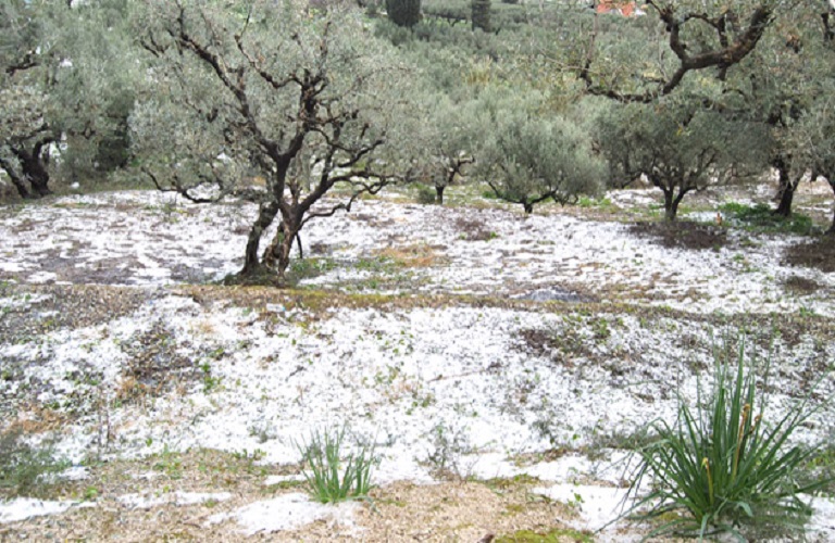 κλιματική αλλαγή