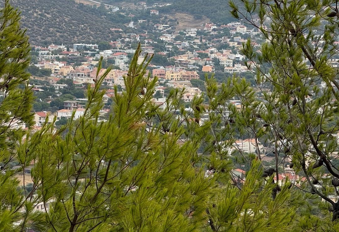 Νότια ή Βόρεια Προάστια; - Ποια ακίνητα επιλέγουν οι υποψήφιοι επενδυτές