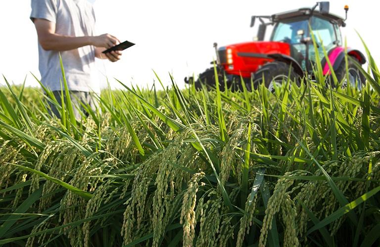 ΚΑΠ: «Big data» και «πράσινη» μετάβαση – Ευκαιρία ή επιβάρυνση για τους αγρότες; 3 ΚΑΠ: «Big data» και «πράσινη» μετάβαση – Ευκαιρία ή επιβάρυνση για τους αγρότες;