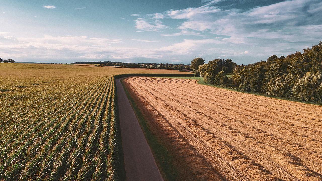 «Holapueblo»: Πώς η Ισπανία επιχειρεί να ζωντανέψει τα άδεια χωριά της 3 «Holapueblo»: Πώς η Ισπανία επιχειρεί να ζωντανέψει τα άδεια χωριά της