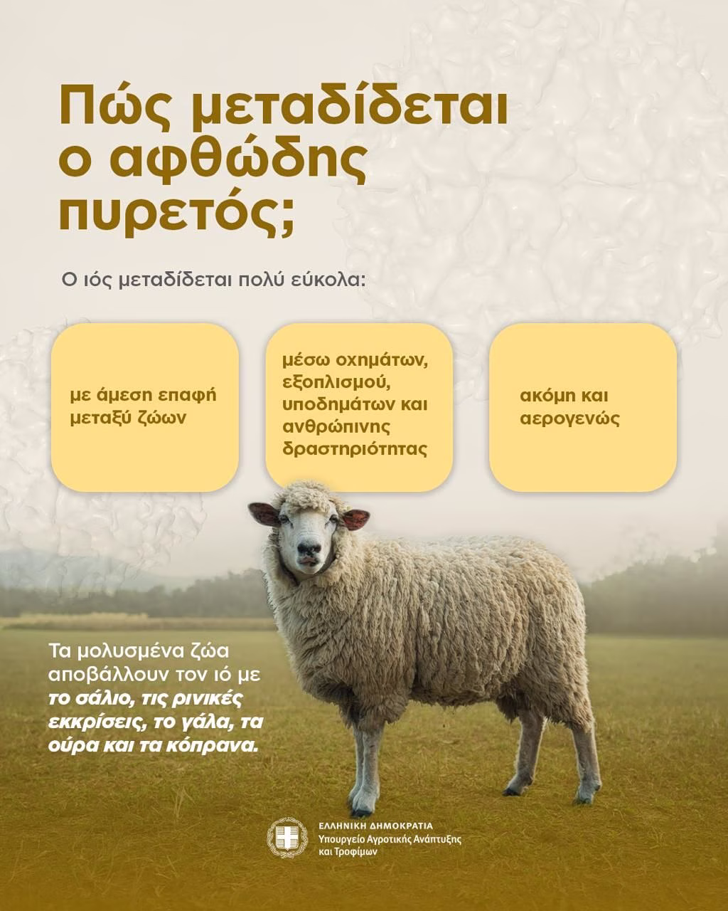 Αφθώδης πυρετός: Όλα όσα πρέπει να γνωρίζετε – 10 ερωτήσεις και απαντήσεις 3 αφθώδης πυρετός