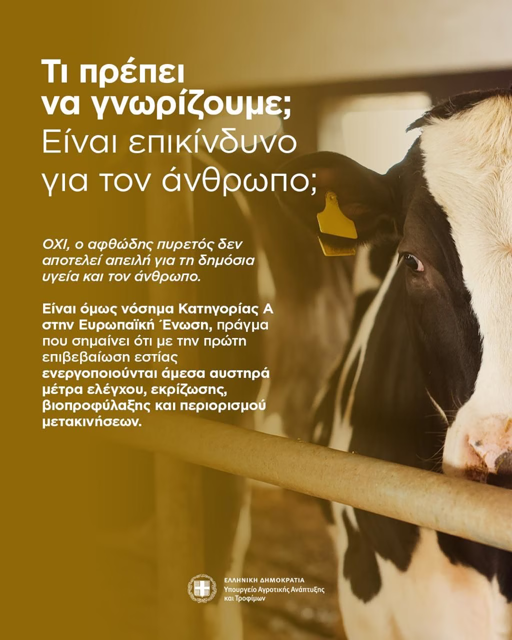 Αφθώδης πυρετός: Όλα όσα πρέπει να γνωρίζετε – 10 ερωτήσεις και απαντήσεις 2 αφθώδης πυρετός