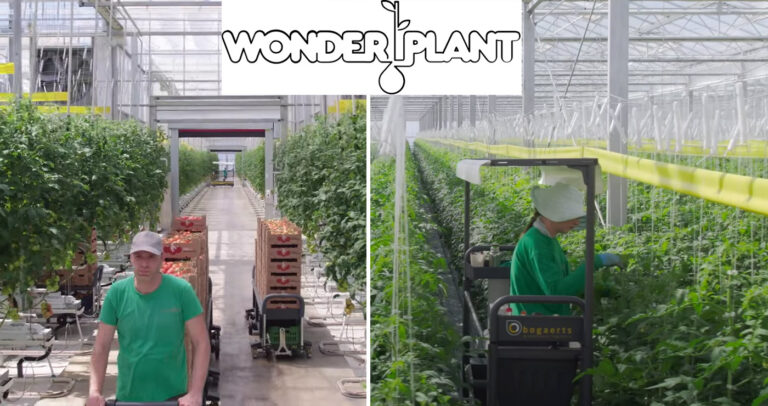 Πτολεμαΐδα: Πώς θα είναι η νέα μονάδα Wonderplant στη Μαυροπηγή σύμφωνα με το πρότυπο της Δράμας