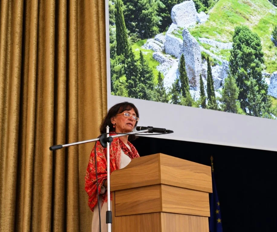 Σέρβια: Ημερίδα για το Κάστρο και συζήτηση για ολοκληρωμένο masterplan 13 Παρουσίαση επιστημονικών προτάσεων