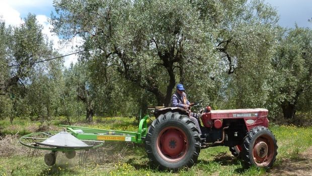 Σχέδια βελτίωσης: Τι ισχύει με την αγορά γης – Οι επενδύσεις