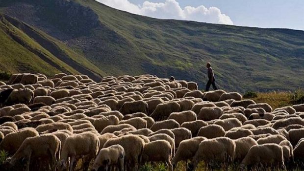 Εξισωτική αποζημίωση: Πώς θα υποβάλετε ενστάσεις – Όλη η διαδικασία