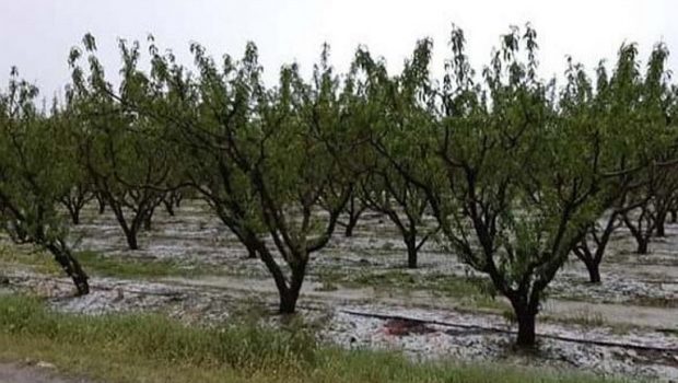 ΚΑΠ: Επενδύσεις για προστασία από φυσικές καταστροφές