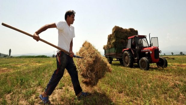 Νέοι αγρότες: Εντάξεις ύψους 38,7 εκατ. ευρώ στη Στερεά Ελλάδα