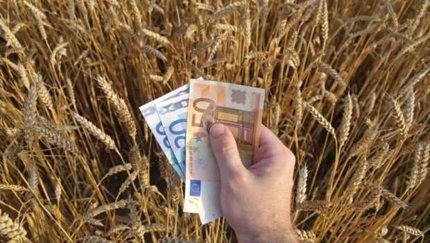 Ταμείο Ανάκαμψης: Πάνω από 1 δισ. ευρώ οι επενδύσεις στον πρωτογενή τομέα