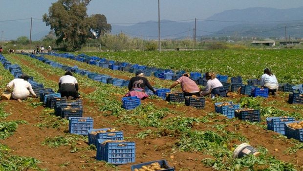 Εργάτες γης: Στη Βουλή η συμφωνία Ελλάδας – Αιγύπτου