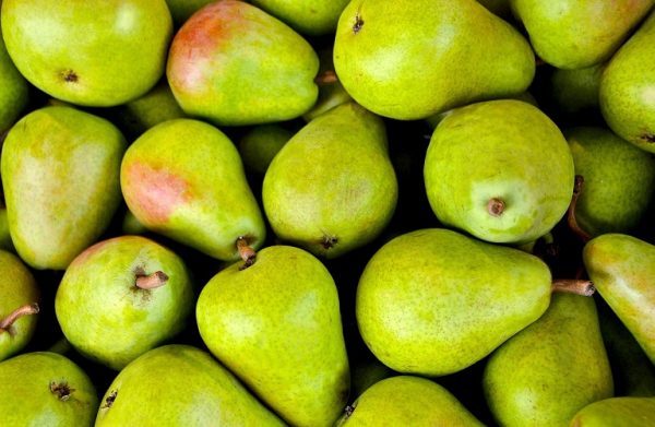 WAPA: Ποιες είναι οι προβλέψεις για τη φετινή παραγωγή μήλου και αχλαδιού