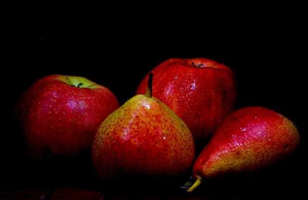WAPA: Ποιες είναι οι προβλέψεις για τη φετινή παραγωγή μήλου και αχλαδιού