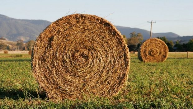 ΥπΑΑΤ: Οι προτεραιότητες και οι προκλήσεις στη νέα ΚΑΠ