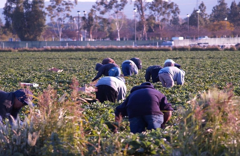 Αγρότες: «Καμπανάκι» για τους εργάτες γης - Καθυστερήσεις στις μετακλήσεις