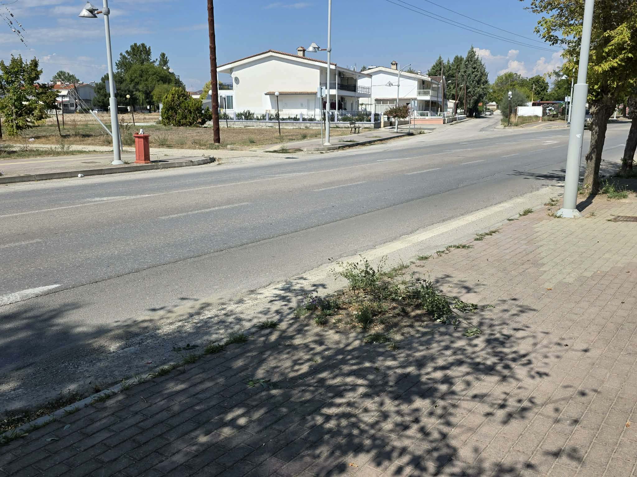 Πτολεμαΐδα: Καταγγελία για δέντρα που δεν αντικαταστάθηκαν στον δρόμο των Εργατικών Κατοικιών 4 Σημείο χωρίς δέντρο στον κεντρικό δρόμο Πτολεμαΐδας – Εργατικών Κατοικιών