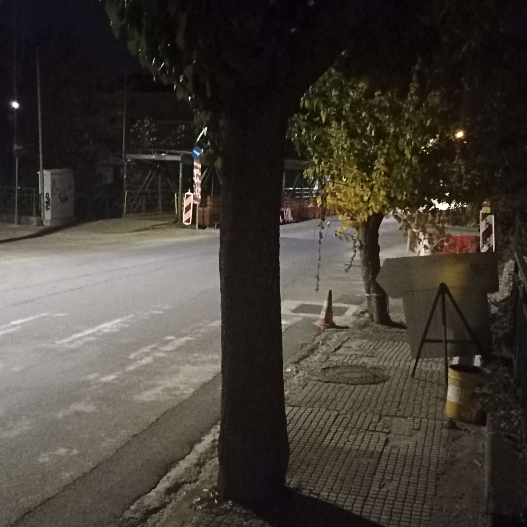 Κοζάνη: Έκκληση για κλάδεμα κλαδιών που περιορίζουν την ορατότητα σε διάβαση της οδού Ιωνίας