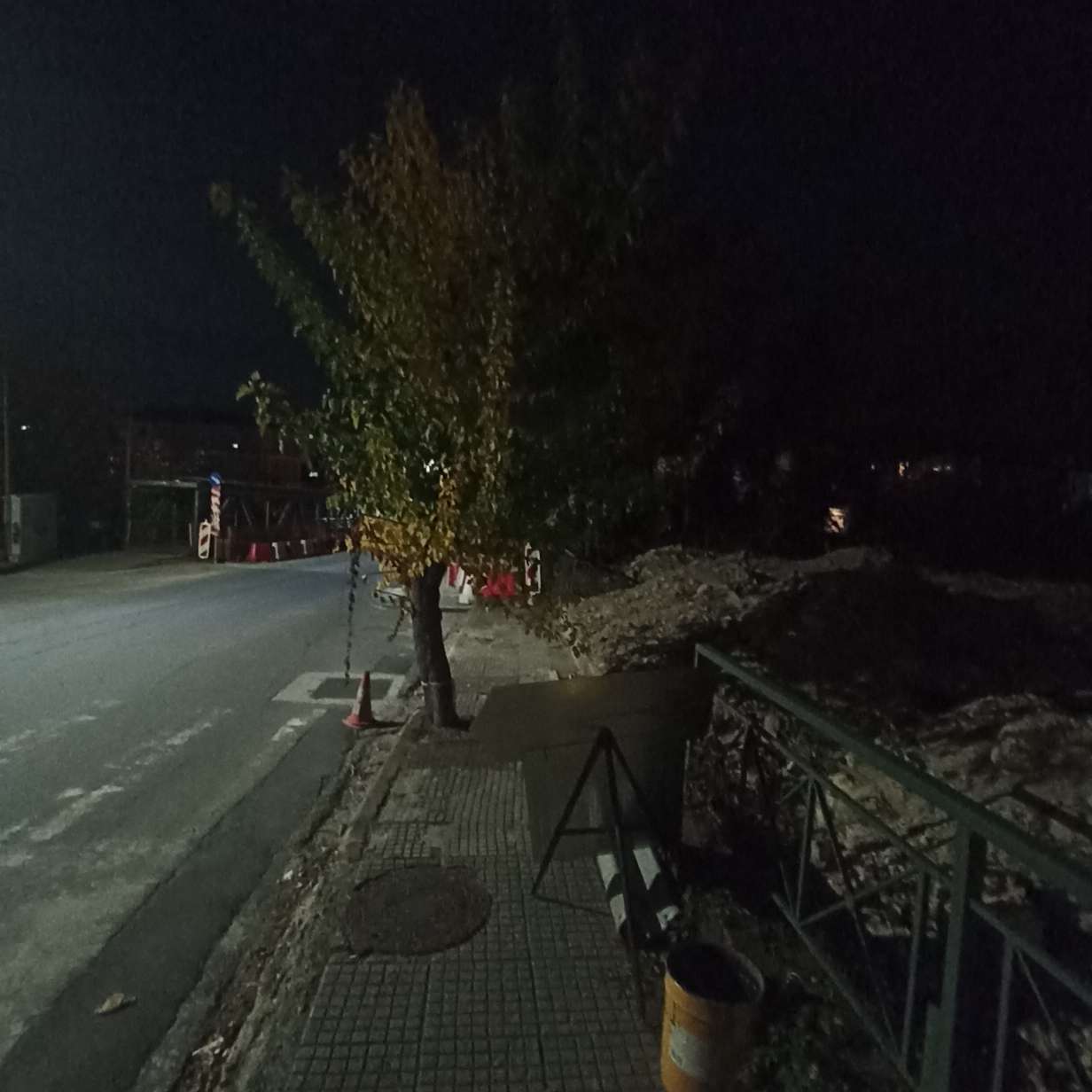 Κοζάνη: Έκκληση για κλάδεμα κλαδιών που περιορίζουν την ορατότητα σε διάβαση της οδού Ιωνίας