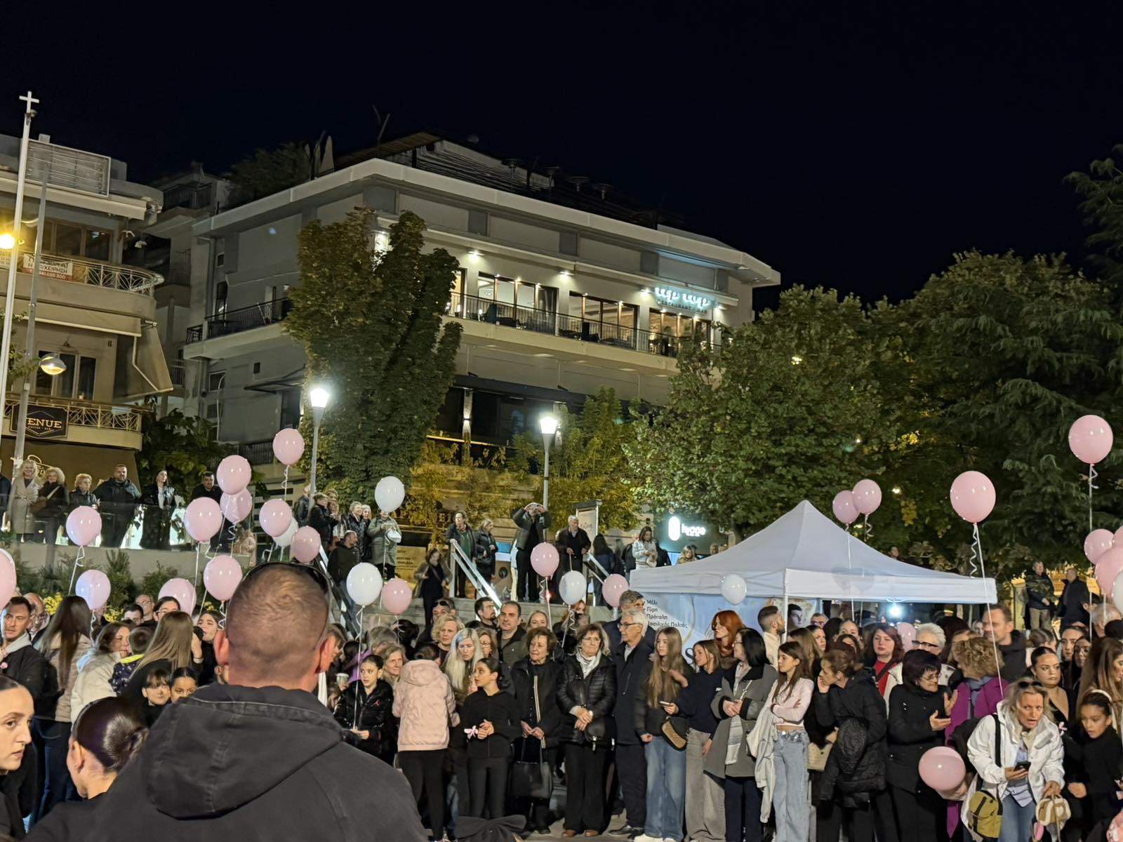 Κοζάνη: Πραγματοποιήθηκε ο 11ος Περίπατος για τον Καρκίνο του Μαστού 47 Στιγμιότυπο από τον περίπατο