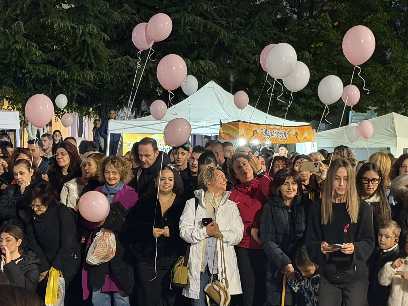 Κοζάνη: Πραγματοποιήθηκε ο 11ος Περίπατος για τον Καρκίνο του Μαστού 59 Στιγμιότυπο από τον περίπατο