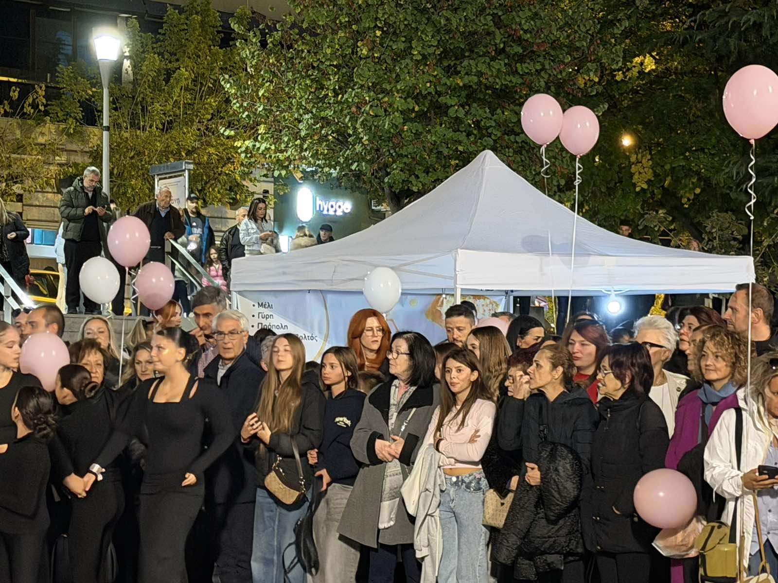 Κοζάνη: Πραγματοποιήθηκε ο 11ος Περίπατος για τον Καρκίνο του Μαστού 45 Στιγμιότυπο από τη δράση