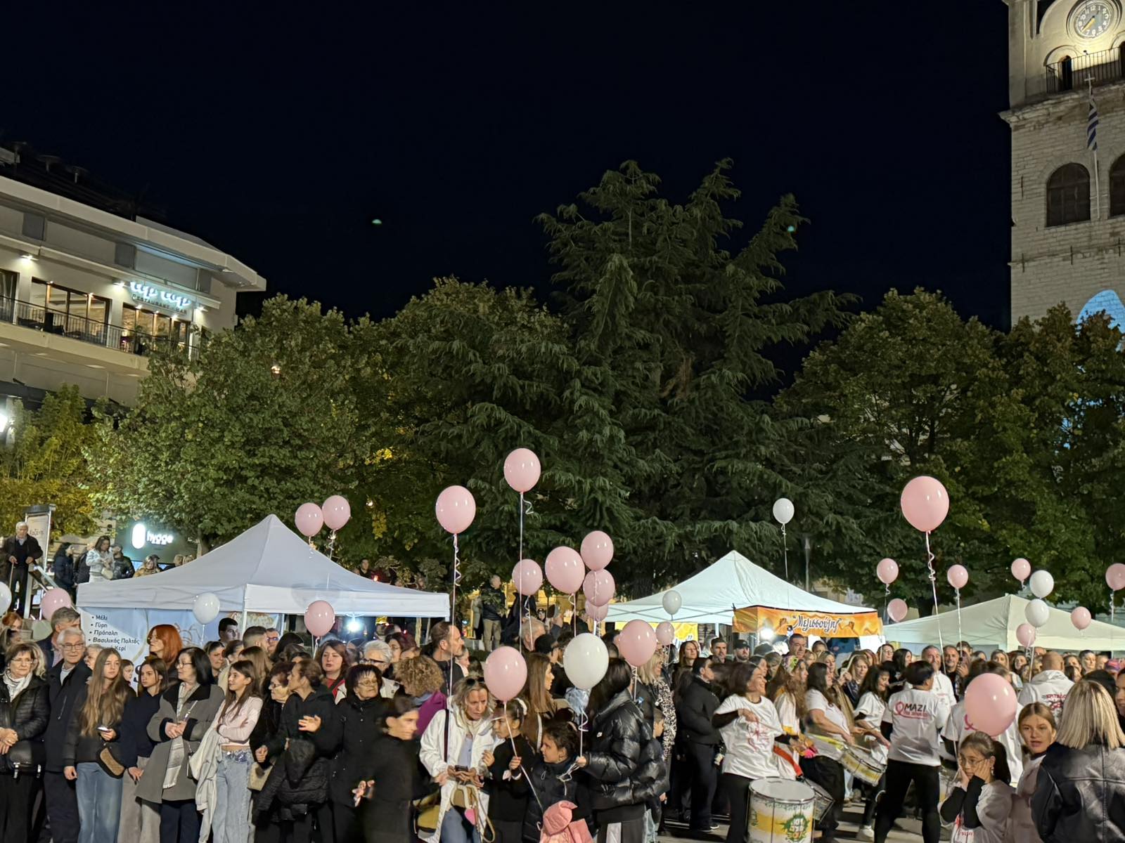 Κοζάνη: Πραγματοποιήθηκε ο 11ος Περίπατος για τον Καρκίνο του Μαστού 46 Η πορεία των συμμετεχόντων