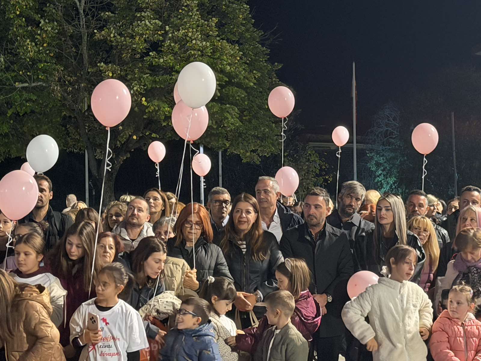 Κοζάνη: Πραγματοποιήθηκε ο 11ος Περίπατος για τον Καρκίνο του Μαστού 51 Στιγμιότυπο από τη δράση