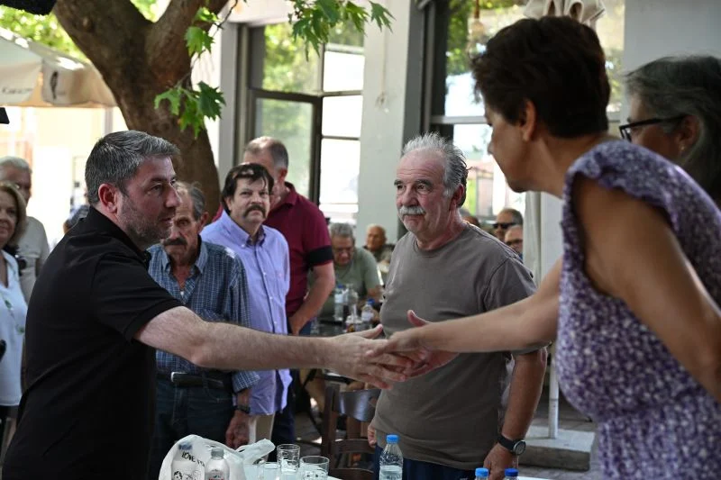 Κλιματική κρίση: Ανδρουλάκης προειδοποιεί για τις αδυναμίες του κρατικού μηχανισμού στην πρόληψη.