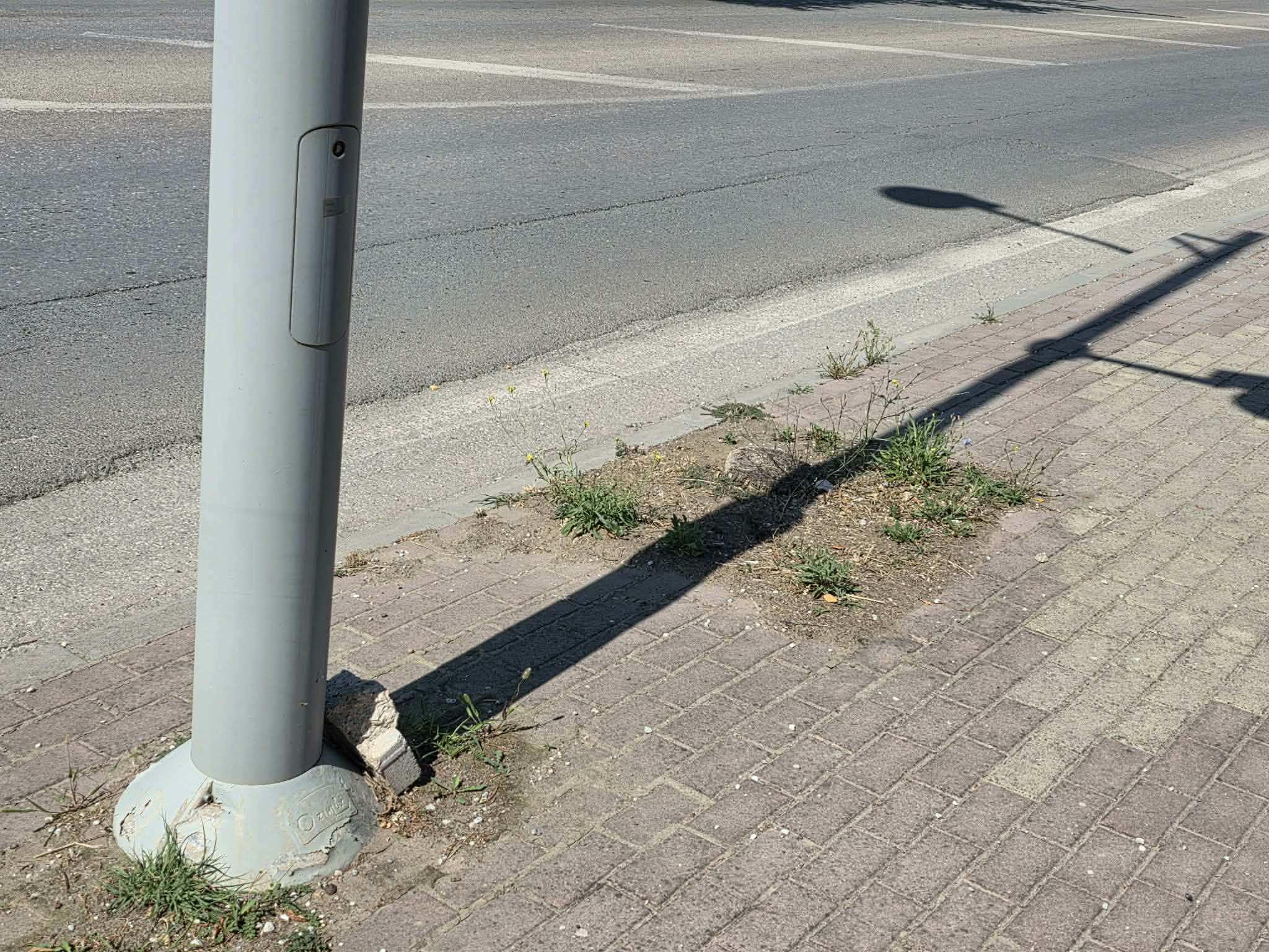 Πτολεμαΐδα: Καταγγελία για δέντρα που δεν αντικαταστάθηκαν στον δρόμο των Εργατικών Κατοικιών 5 Δενδροδόχος που παραμένει χωρίς δέντρο