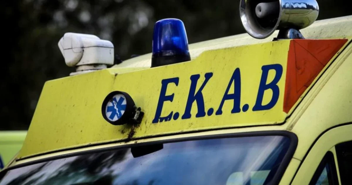 Θεσσαλονίκη: Εξιτήριο για το 4χρονο κορίτσι μετά την επίθεση από άγριο ζώο-Διερευνάται το τι ήταν