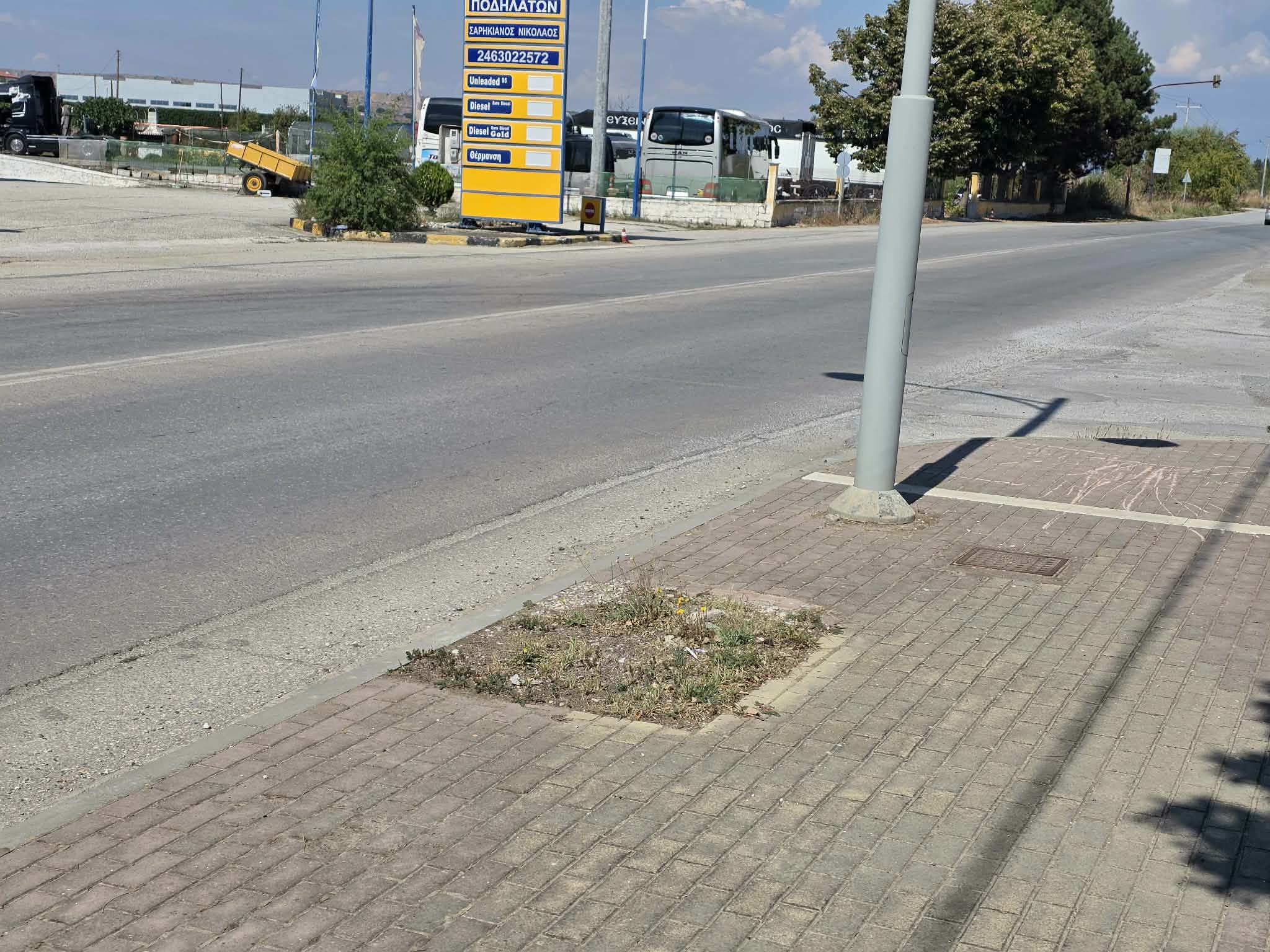 Πτολεμαΐδα: Καταγγελία για δέντρα που δεν αντικαταστάθηκαν στον δρόμο των Εργατικών Κατοικιών 6 Σχάρα δενδροδόχου στον δρόμο Πτολεμαΐδας – Εργατικών Κατοικιών