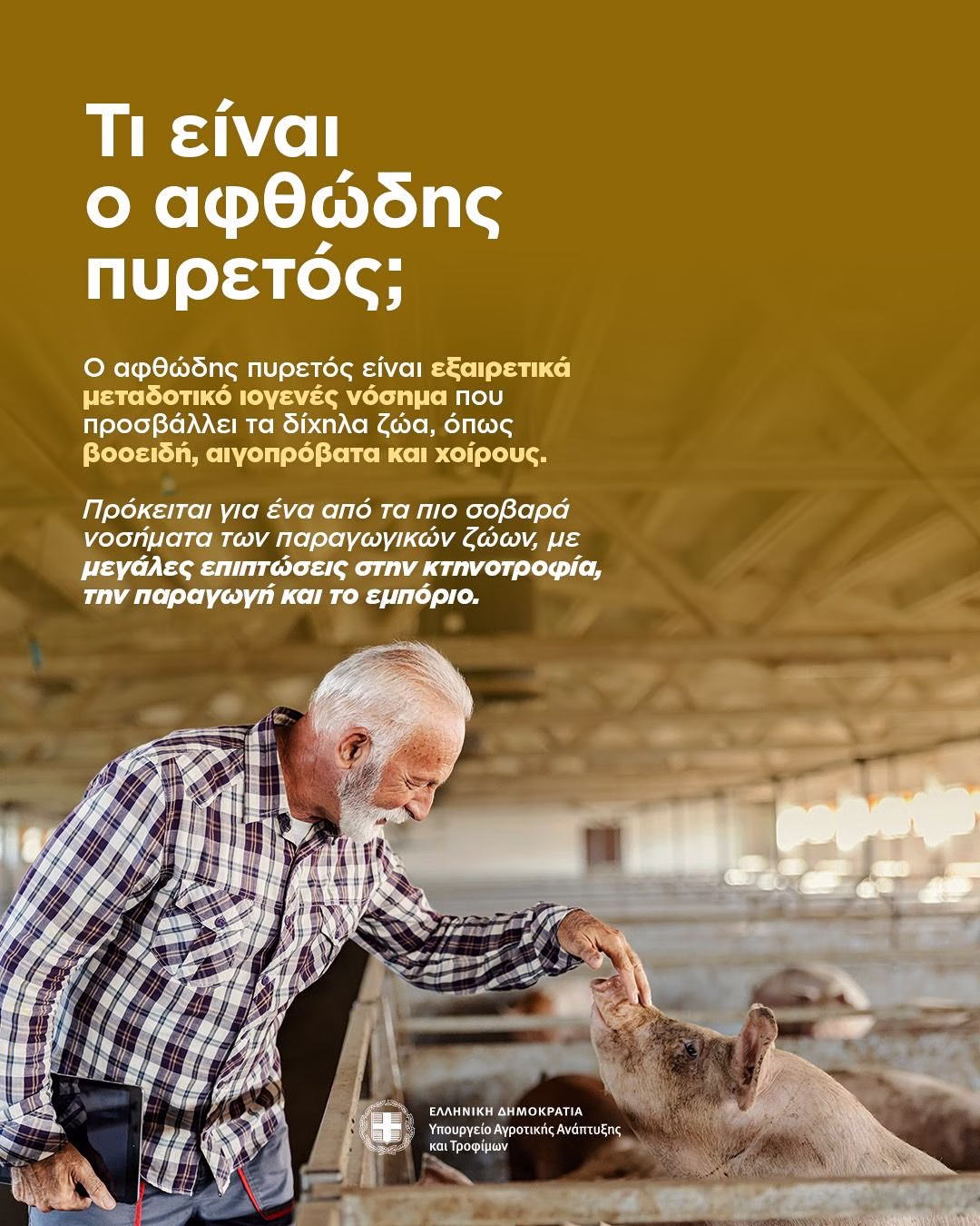 Αφθώδης πυρετός: Όλα όσα πρέπει να γνωρίζετε – 10 ερωτήσεις και απαντήσεις 1 αφθώδης πυρετός