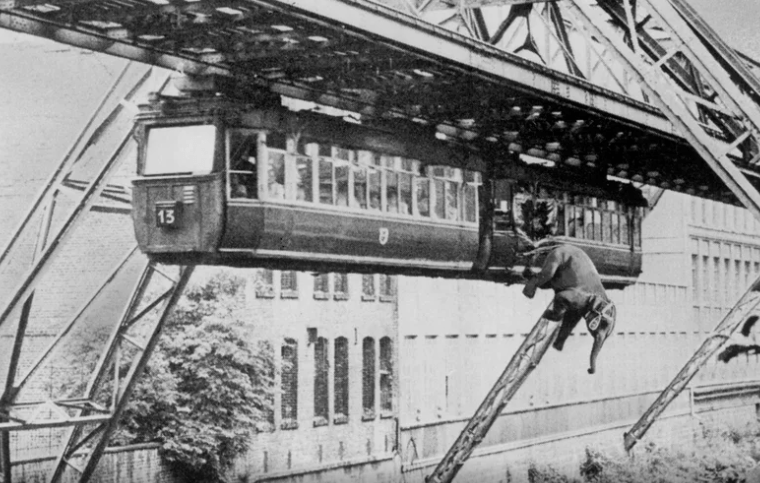 Γερμανία: Στο «ψυγείο» η κοπή αναμνηστικών νομισμάτων 1 Γερμανία: Στο «ψυγείο» η κοπή αναμνηστικών νομισμάτων