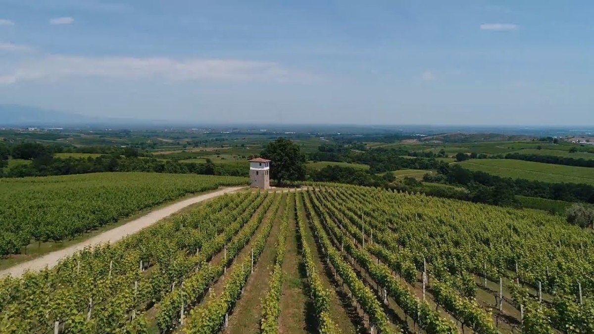 «Δεν μπορούμε να το κάνουμε όπως οι πατεράδες μας»: Οι αγρότες αγωνίζονται να προσαρμοστούν στην κλιματική κρίση 1 «Δεν μπορούμε να το κάνουμε όπως οι πατεράδες μας»: Οι αγρότες αγωνίζονται να προσαρμοστούν στην κλιματική κρίση