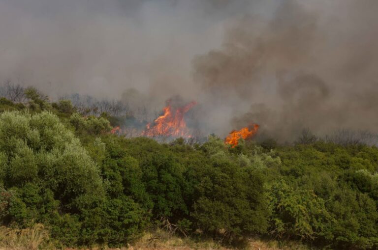 Δύο φωτιές το πρωί σε δασικές εκτάσεις σε Αχαΐα και Μαγνησία