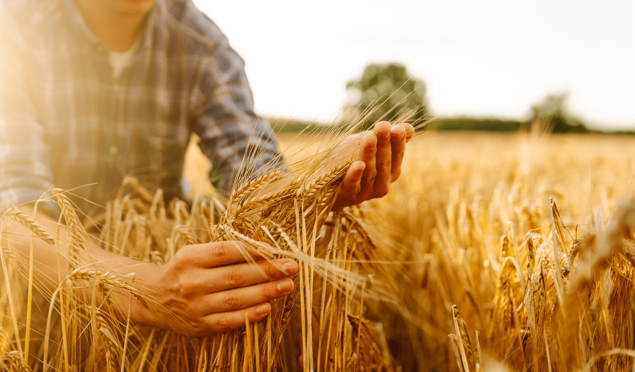 ΚΑΠ: Ξεκινά το μεγάλο «παζάρι» για τη νέα ΚΑΠ – Ο ρόλος της Ελλάδας στη διαπραγμάτευση 3 ΚΑΠ: Ξεκινά το μεγάλο «παζάρι» για τη νέα ΚΑΠ – Ο ρόλος της Ελλάδας στη διαπραγμάτευση