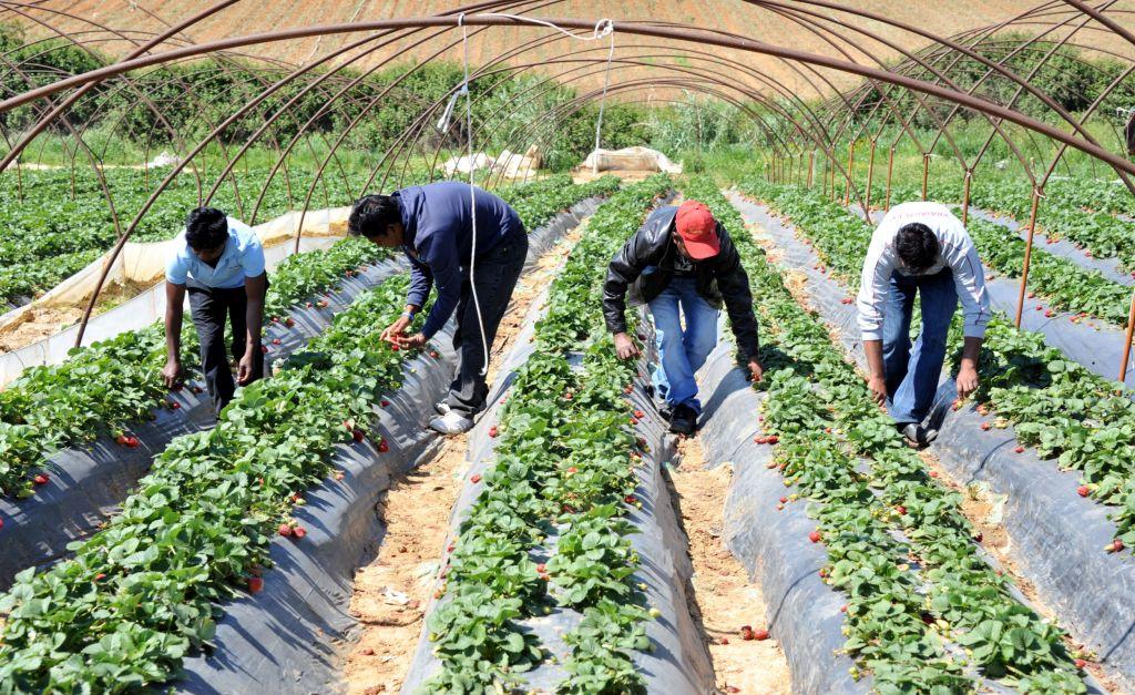 Κενές θέσεις εργασίας: Περιζήτητοι οι «διεθνείς εργαζόμενοι», αλλά φτάνουν μετ'εμποδίων