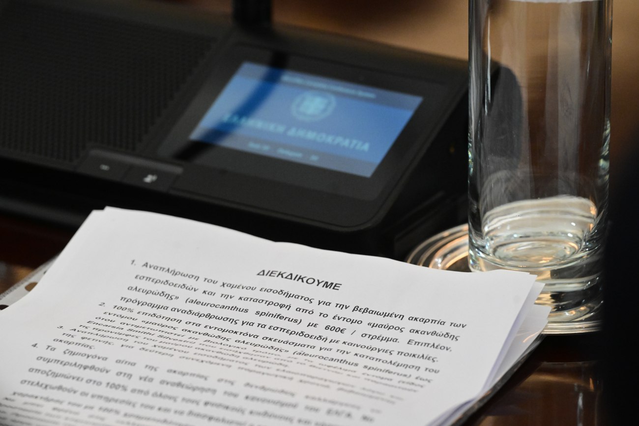 Με συνελεύσεις στα μπλόκα οι αγρότες αποφασίζουν τα επόμενα βήματα - «Απογοητευτική» η συνάντηση με Μητσοτάκη 1 Με συνελεύσεις στα μπλόκα οι αγρότες αποφασίζουν τα επόμενα βήματα - «Απογοητευτική» η συνάντηση με Μητσοτάκη