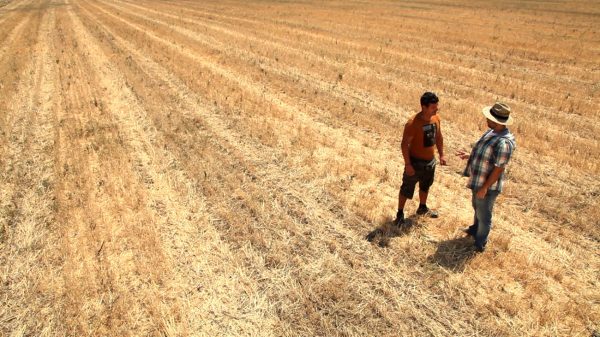 «Πλούτος ανισοτήτων»: Μικρές και μεγάλες γεωργικές επιχειρήσεις στην Ευρώπη