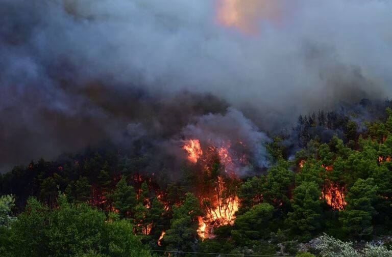 Πολύ υψηλός κίνδυνος πυρκαγιάς το Σάββατο σε Αττική και νησιά