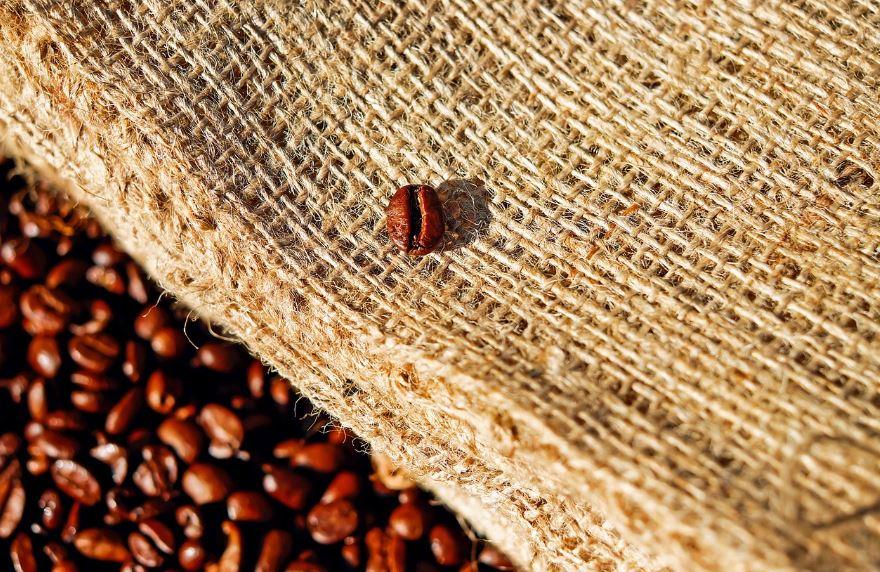 Σήμα κινδύνου από την Ακτή Ελεφαντοστού για ελλείψεις στο κακάο 1 Σήμα κινδύνου από την Ακτή Ελεφαντοστού για ελλείψεις στο κακάο