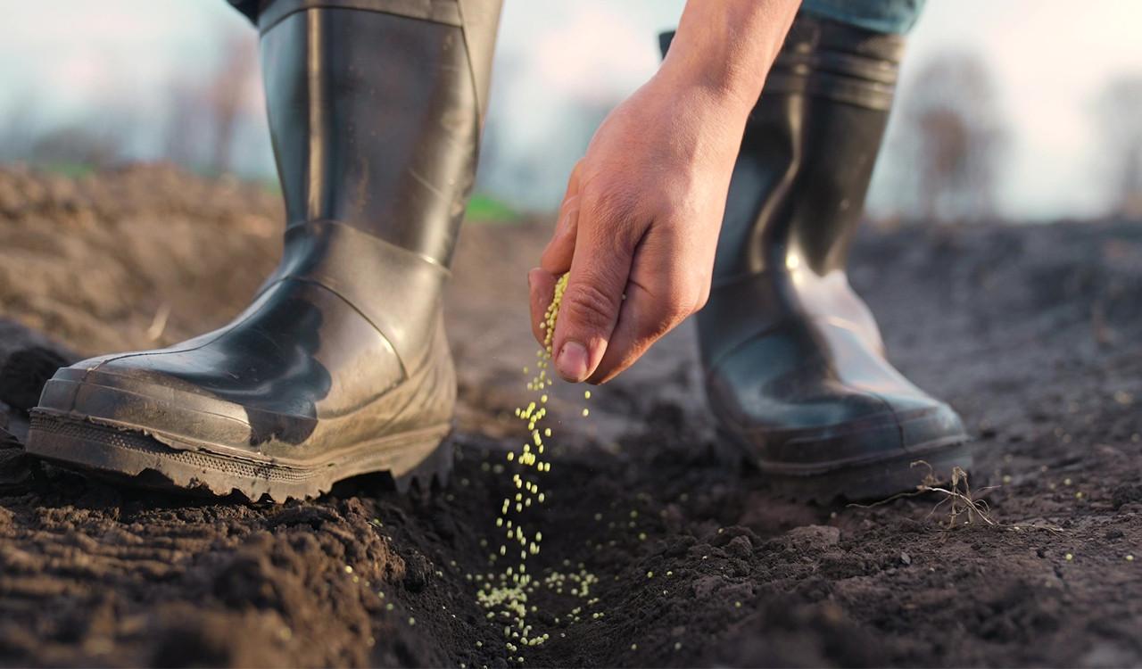 Στροφή στις «πράσινες» αγροτικές επιδοτήσεις – Τι αποκαλύπτει ο ΟΟΣΑ 1 Στροφή στις «πράσινες» αγροτικές επιδοτήσεις – Τι αποκαλύπτει ο ΟΟΣΑ