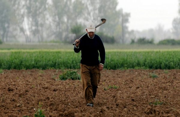 Τρόφιμα: Ακριβότερα και λιγότερα λόγω κλιματικής κρίσης