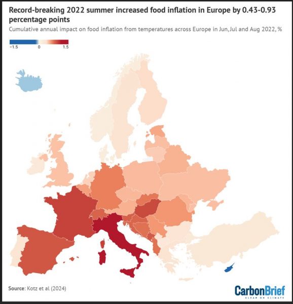 Τρόφιμα: Φόβος για αύξηση των τιμών έως και 50%; Η κλιματική αλλαγή φέρνει καύσωνα διαρκείας στην ακρίβεια