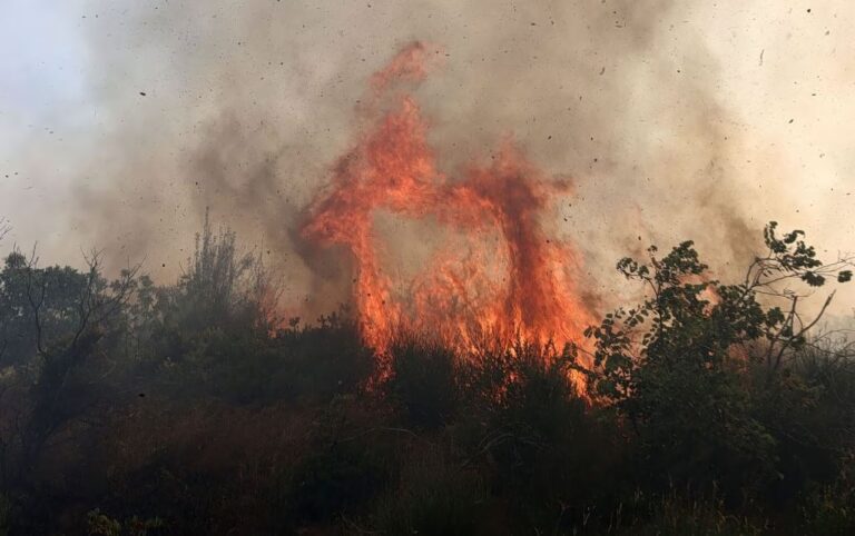 Υψηλός κίνδυνος πυρκαγιάς την Τετάρτη σε Αττική και 19 περιοχές